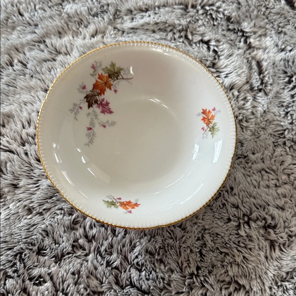 Winterling Bavaria Germany Autumn Leaves Set of 4 Fruit Dessert Bowls 5.5